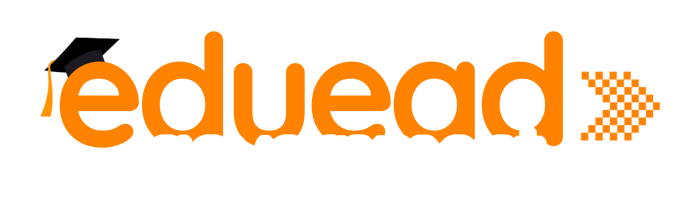 government