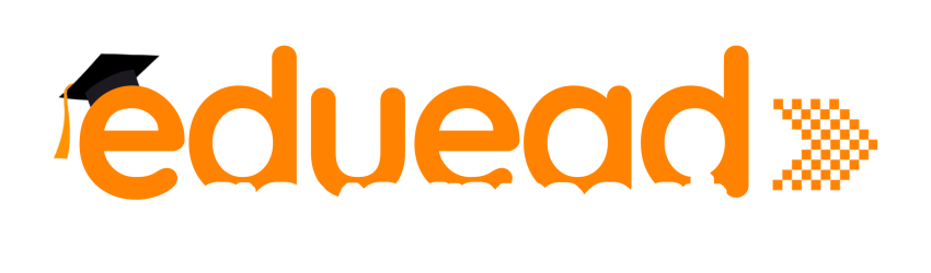 government